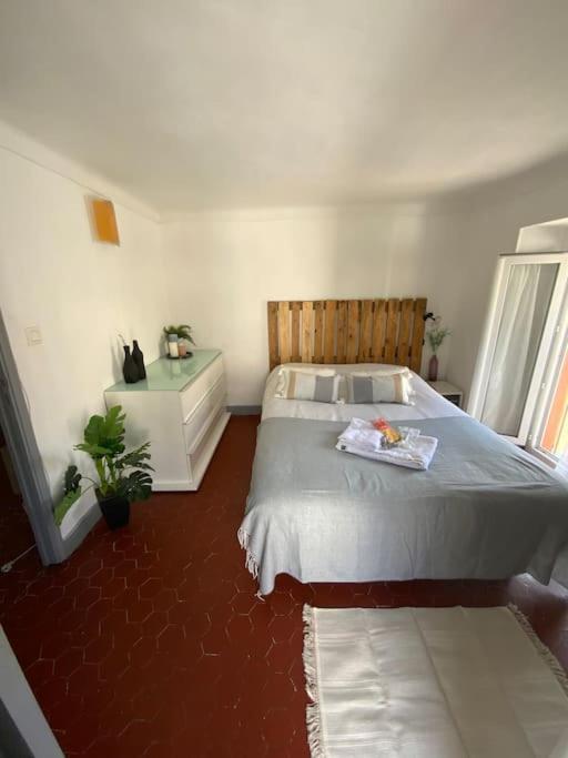 Appartement Typique Nicois En Plein Centre Ville ニース エクステリア 写真
